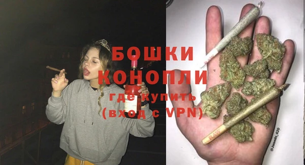 прущие грибы Балабаново