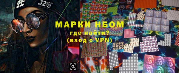 прущие грибы Балабаново