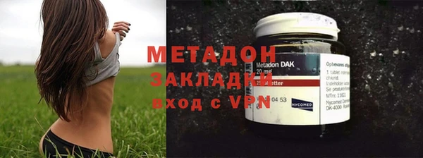 прущие грибы Балабаново