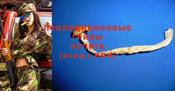 прущие грибы Балабаново