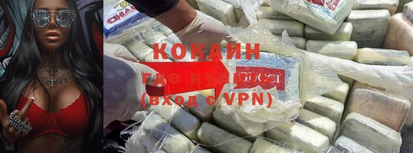 крисы Балахна