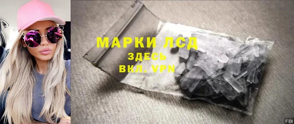 прущие грибы Балабаново